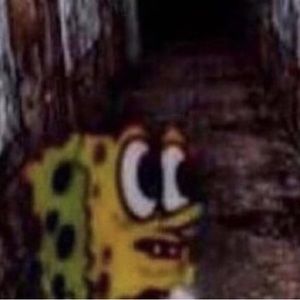 Meet your Posher, Viv